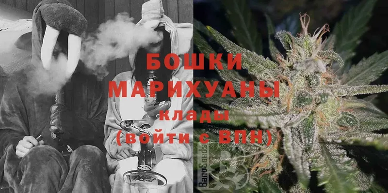 цены наркотик  Богородицк  Бошки марихуана Ganja 